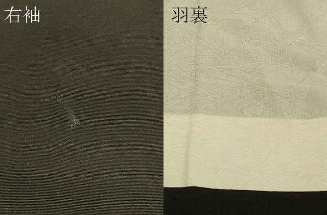 平和屋着物#羽織 立波風景文 黒地 金銀彩 正絹 逸品 CABH7126in