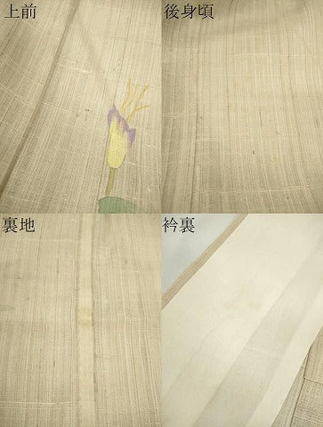 平和屋着物*夏物 訪問着 生紬 枝花文 正絹 逸品 未使用 CABH7661ze