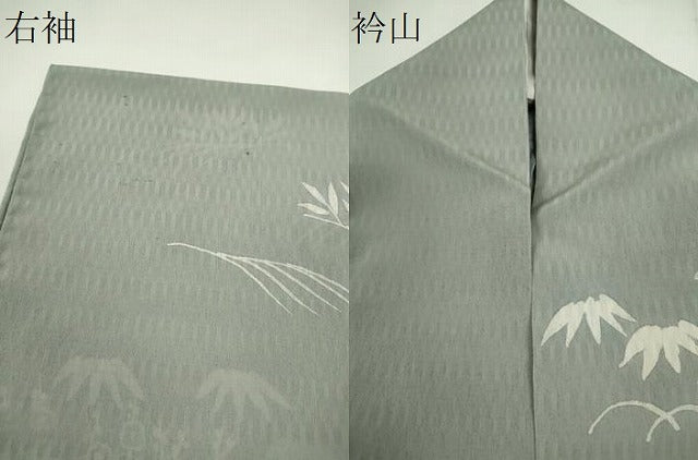 平和屋着物*夏物 訪問着 ろうけつ染め 御所解紋紗 正絹 逸品 CABH7667ze