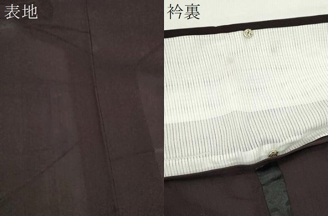 平和屋着物*夏物 色無地 燕子花紋紗 濃色 正絹 逸品 CABH7672ze