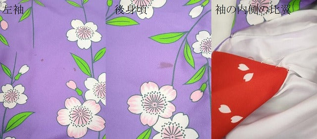 平和屋本店●お引きずり・お引き摺り・引き振袖 結婚式 和装 芸妓 舞妓 芸者 枝桜文 衣装 洗える着物 CABH7717ze