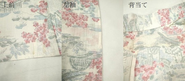平和屋着物*夏物 小千谷ちぢみ 草花風景文 麻 逸品 CABH7750ze