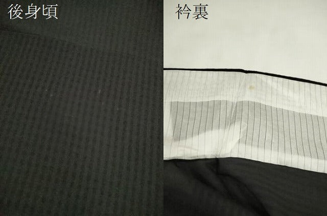 平和屋着物*夏物 訪問着 紗 刺繍 夏虫 暈し染め 黒地 銀糸 正絹 逸品 CABH7755ze