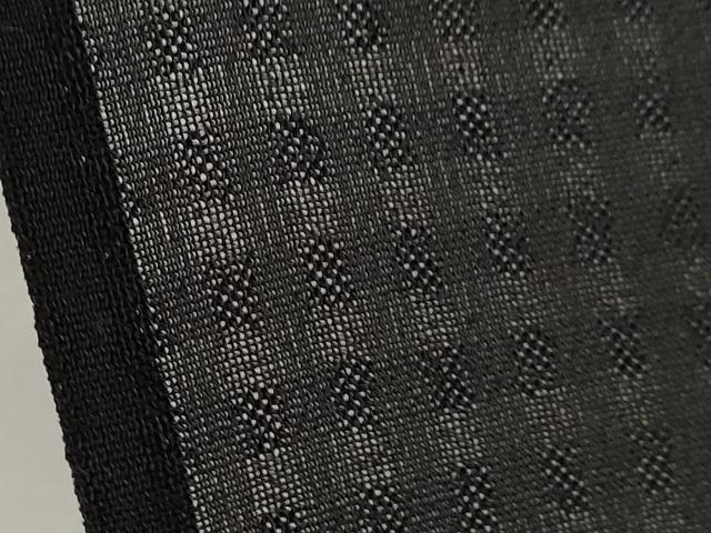 平和屋着物*夏物 訪問着 紗 刺繍 夏虫 暈し染め 黒地 銀糸 正絹 逸品 CABH7755ze
