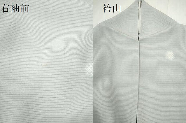 平和屋着物*夏物 小紋 絽 鹿の子丸文 さが美扱い 正絹 逸品 CABH7758ze