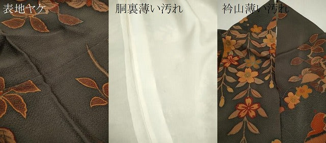 平和屋着物■訪問着 花車鳥文 鬼しぼ縮緬 正絹 逸品 CABH7790ze