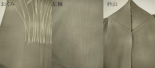 平和屋着物*夏物 訪問着 絽 草木文 暈し染め 正絹 逸品 CABH7792ze