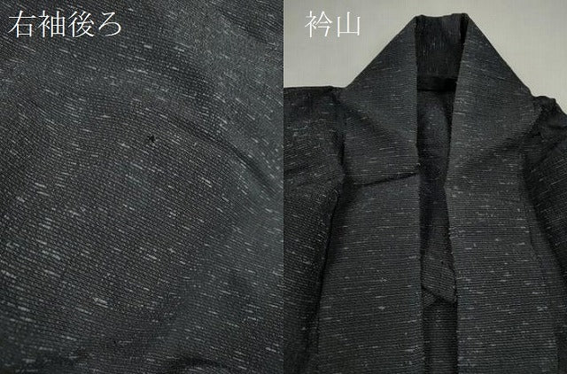 平和屋着物*夏物 男性 紬 霞文 正絹 逸品 CABH7825ze