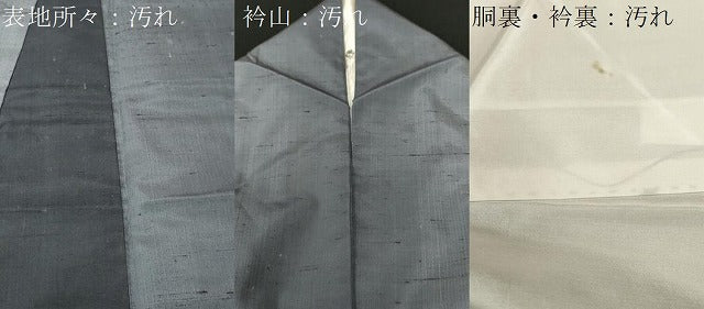 平和屋着物■上質な紬 間道 正絹 逸品 CABH9081ev