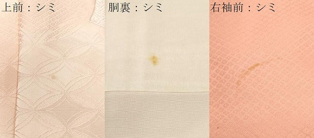 平和屋着物■色留訪問着 総刺繍 束ね熨斗草花文 暈し染め 正絹 逸品 CABH9170ev