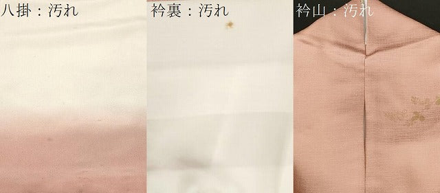 平和屋着物■訪問着 雪輪枝花文 暈し染め 金彩 正絹 逸品 CABH9185ev