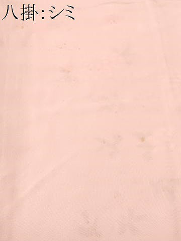 平和屋着物■日本工芸会正会員 中儀延 加賀小紋 訪問着 枝梅菊文 正絹 逸品 CABH9201ev