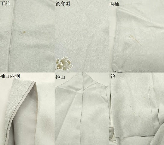 平和屋着物●訪問着 胡蝶蘭 暈し染め 金銀彩 正絹 逸品 CABI0433gh
