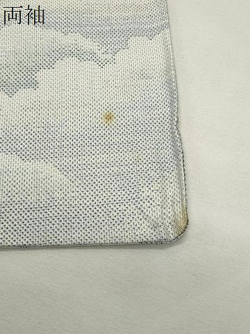 平和屋着物●本場大島紬 白大島 9マルキ 雲重ね亀甲文 正絹 逸品 CABI0558gh