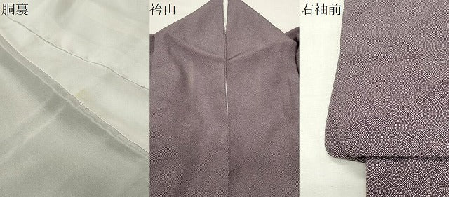 平和屋着物●江戸小紋 訪問着 鮫小紋柄 青海波文 正絹 逸品 CABI0806gh