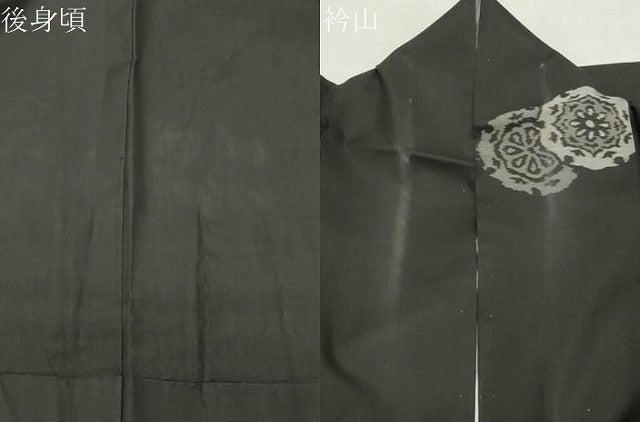 平和屋着物●本場大島紬 地空き 正倉院花文 正絹 逸品 CABI0860gh