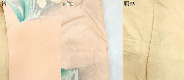 平和屋着物●上質な小紋 地紋起こし 草花文 暈し染め 正絹 逸品 CABI1227th