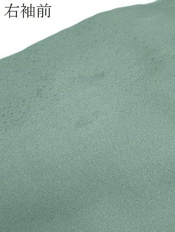 平和屋着物●訪問着 雪輪草花文 金彩 正絹 逸品 CABI1235th