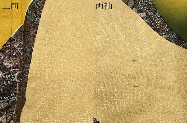 平和屋着物●豪華振袖 更紗花蝶文 暈し染め 金彩 正絹 逸品 CABI1334th
