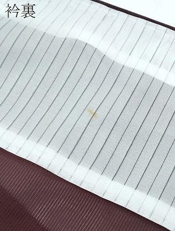 平和屋着物*夏物 色無地 絽 葡萄茶色 洗える着物 CABI1399th