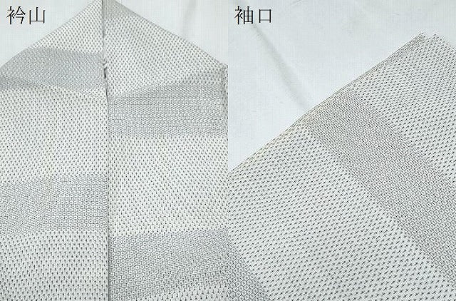 平和屋着物*夏物 本塩沢 夏塩沢 やまだ織 80亀甲 横段文 ロング丈 正絹 逸品 CABI1554th