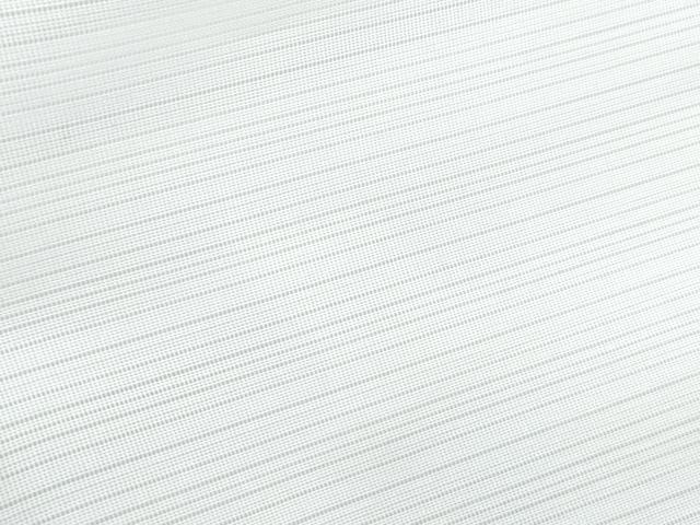 平和屋着物*夏物 長襦袢 変わり絽 千鳥文 洗える着物 CABI1567th