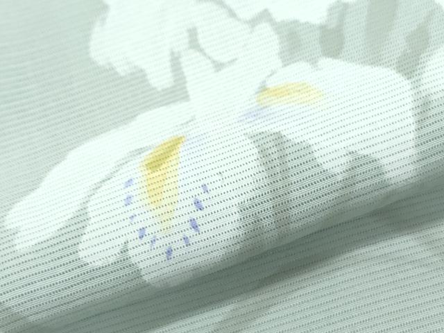 平和屋着物*夏物 訪問着 手描き 絽 草花文 正絹 逸品 CABI1580th