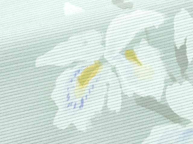 平和屋着物*夏物 訪問着 手描き 絽 草花文 正絹 逸品 CABI1580th