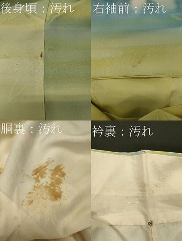 平和屋着物■訪問着 舞蝶文 暈し染め 正絹 逸品 CABI1624oy