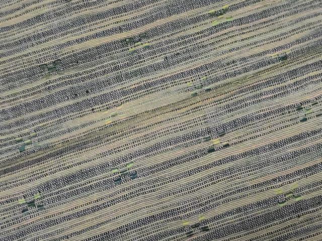 平和屋着物■上質な紬 霞文 正絹 逸品 CABI1641oy