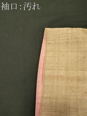 平和屋着物■上質な紬 舞蝶文 正絹 逸品 CABI1825oy