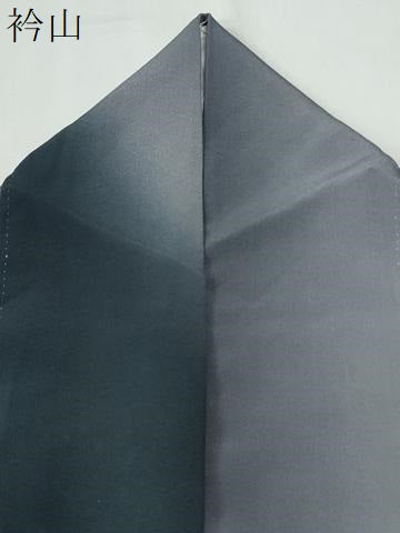 平和屋着物●上質な小紋 霞文 暈し染め 正絹 逸品 CABI2009yc