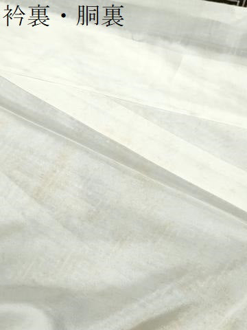 平和屋着物●本場大島紬 龍郷絣 秋名バラ 正絹 逸品 CABI2036yc