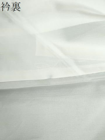 平和屋着物●訪問着 草花文 シルエット 暈し染め 金彩 正絹 逸品 CABI2042yc