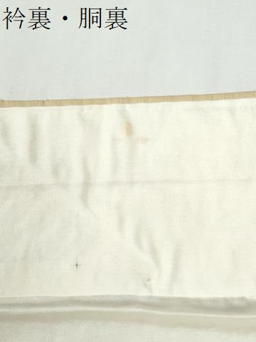 平和屋着物●上質な紬 間道 正絹 逸品 CABI2142yc