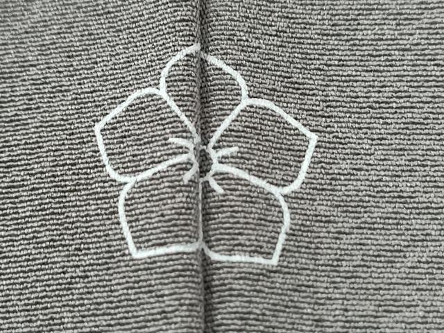 平和屋着物●訪問着 葡萄蔦の葉花文 暈し染め 金彩 正絹 逸品 CABI2170yc