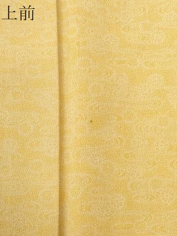 平和屋着物●江戸小紋 流水花文 ロング丈 正絹 逸品 CABI2960yc