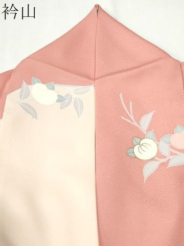 平和屋着物●訪問着 刺繍 枝橘草花丸文 金彩 正絹 逸品 CABI3211yc