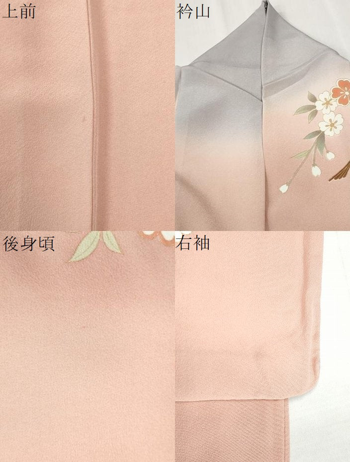 平和屋着物●訪問着 作家物 エ霞扇面網目草花文 暈し染め 金彩 ロング丈 正絹 逸品 CABI3442yc