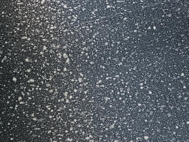 平和屋着物*夏物 小紋 紗 間道 正絹 逸品 CABI3663xi