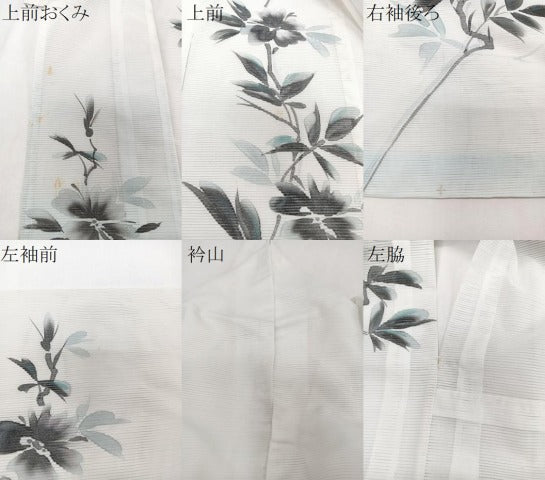 平和屋着物*夏物 訪問着 絽 手描き 枝草花文 洗える着物 CABI3705xi