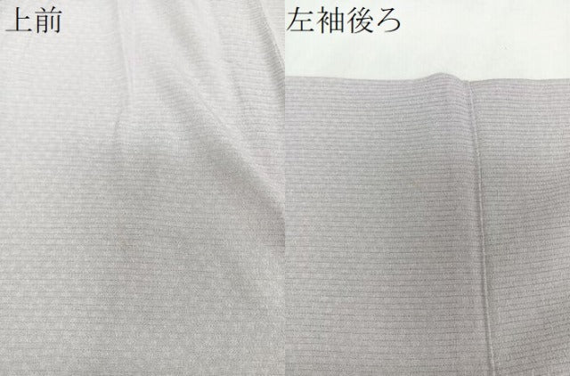 平和屋着物*夏物 江戸小紋 絽縮緬 鮫小紋柄 両面染 正絹 逸品 CABI3726xi