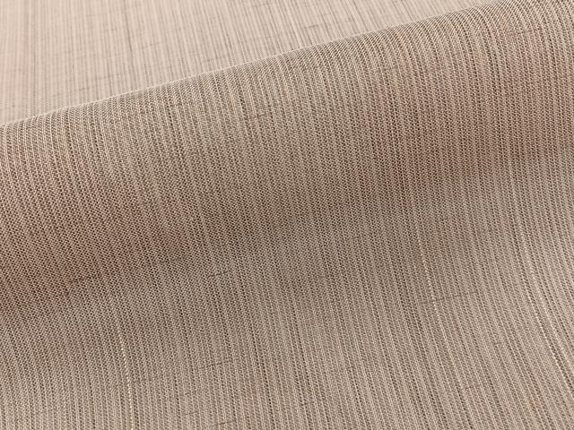 平和屋着物*夏物 紗紬 霞文 正絹 逸品 CABI3740xi