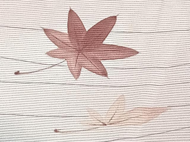 平和屋着物*夏物 訪問着 絽 楓文 正絹 逸品 CABI3793xi