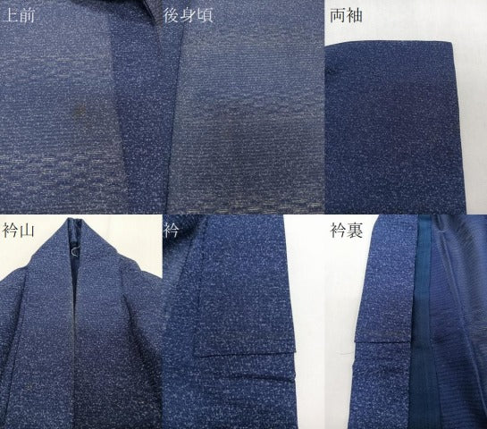 平和屋着物*京童人形絵師 高橋翠延 夏物 小紋 紋絽 霞文 正絹 逸品 CABI3817xi