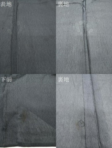 平和屋着物*夏物 男性 お召 紗 霞文 黒地 正絹 逸品 CABI3828xi