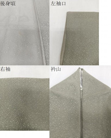 平和屋着物*夏物 訪問着 縦絽 こぼれ松花文 金彩 正絹 逸品 CABI3872xi