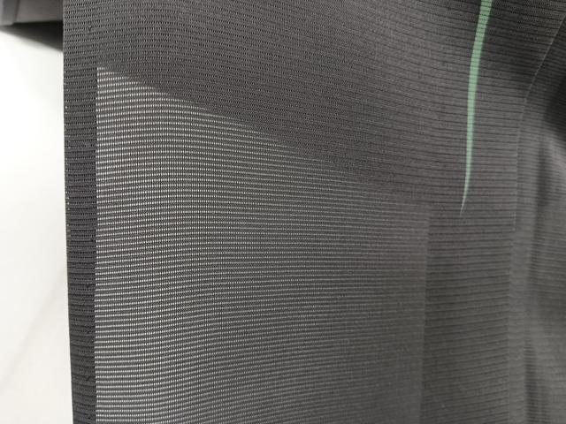 平和屋着物*夏物 訪問着 絽 雪輪花蝶文 ロング丈 正絹 逸品 CABI3994xi