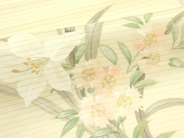 平和屋着物*夏物 絽塩瀬 九寸名古屋帯 手描き 草花文 正絹 逸品 CABI5549rv