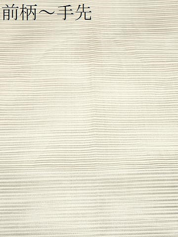 平和屋着物*夏物 太鼓柄袋帯 絽綴れ 立波文 金銀糸 正絹 逸品 CABI5620fb
